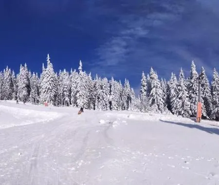 Trio Krkonose