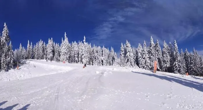 Trio Krkonose