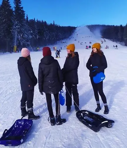 Trio Krkonose *